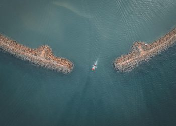 The Role of Mangroves in Coastal Ecosystem Protection