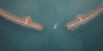 The Role of Mangroves in Coastal Ecosystem Protection