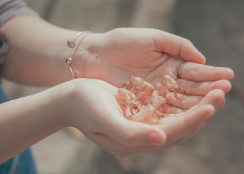 Biomaterials: The Backbone of Regenerative Medicine