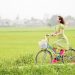 The Pursuit of Happiness: Unpacking What Truly Makes Us Content