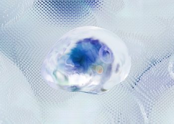 Exploring the Role of Microbiomes in Human Health