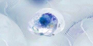 Exploring the Role of Microbiomes in Human Health