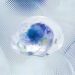Exploring the Role of Microbiomes in Human Health