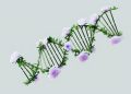 Gene Therapy: A New Hope for Treating Genetic Disorders