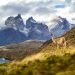 Climate Change and the Ripple Effect on Ecosystem Dynamics