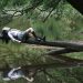 The Science Behind Why We Dream