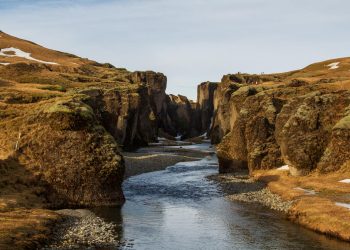 How Climate Change is Shaping the Future of Agriculture