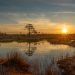 Wetlands: Nature’s Unsung Heroes in a Warming World Wetlands: Nature’s Unsung Heroes in a Warming World