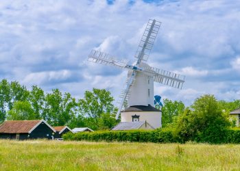 Regenerative Farming: Cultivating Soil for a Healthier Future