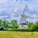 Regenerative Farming: Cultivating Soil for a Healthier Future