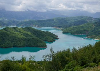 Nature’s Services: The Value of Ecosystem Contributions to Humanity