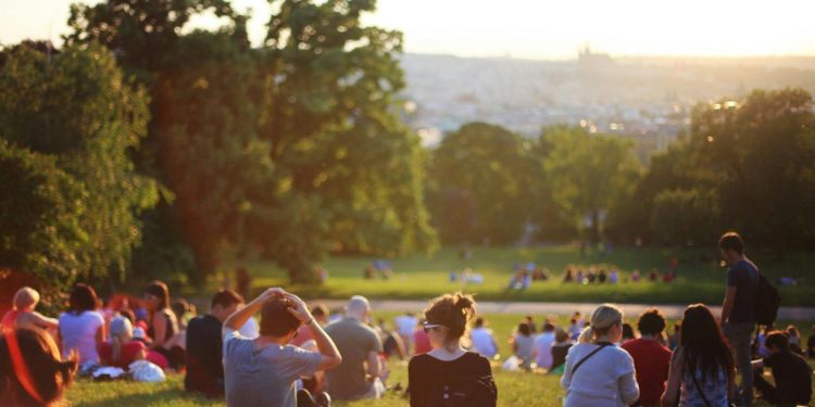 Urban Ecosystems: How Cities Can Embrace and Support Nature Urban Ecosystems: How Cities Can Embrace and Support Nature