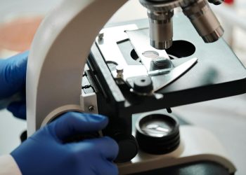 How Vaccines Work: The Science of Immunization