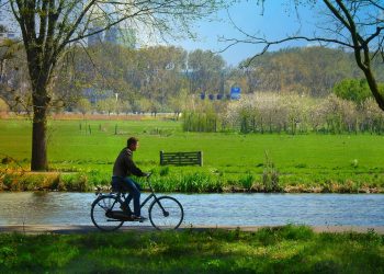 Maximizing Your Downtime: Finding Rest and Productivity in Balance