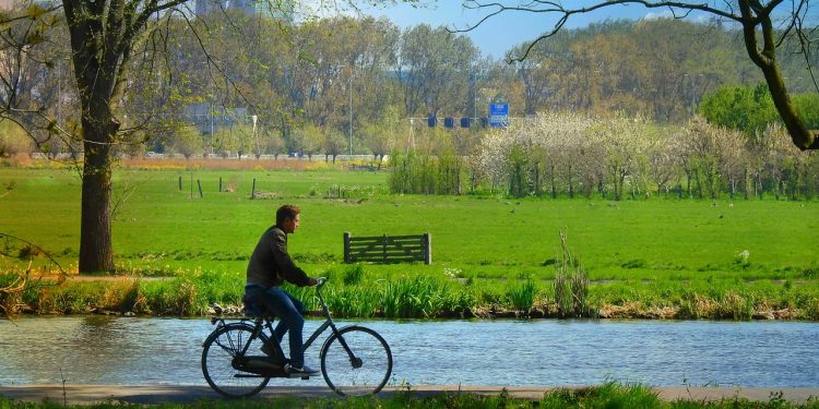 Maximizing Your Downtime: Finding Rest and Productivity in Balance