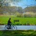 Maximizing Your Downtime: Finding Rest and Productivity in Balance Maximizing Your Downtime: Finding Rest and Productivity in Balance