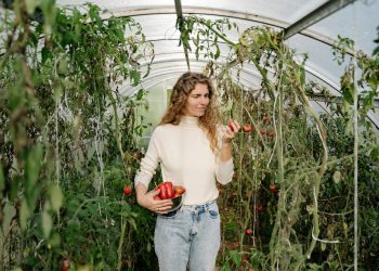The Role of Biotechnology in Pest-Resistant Crops