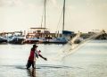 How Overfishing is Damaging Marine Ecosystems