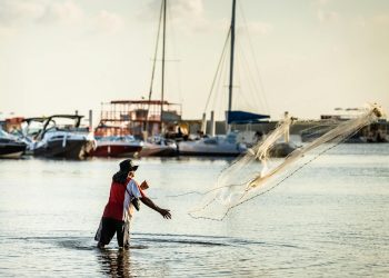 How Overfishing is Damaging Marine Ecosystems