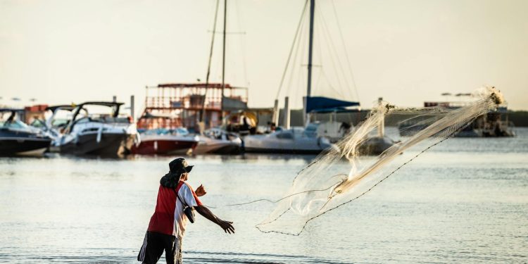 How Overfishing is Damaging Marine Ecosystems