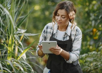 The Future of Sustainable Farming: Transformative Innovations for a Greener Tomorrow