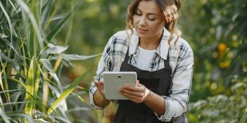 The Future of Sustainable Farming: Transformative Innovations for a Greener Tomorrow