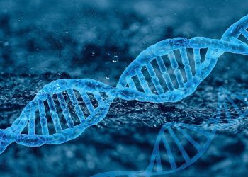 Understanding Gene Therapy: Breaking New Ground in Medicine