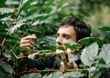 Agroforestry: Integrating Trees and Crops for a Sustainable Future