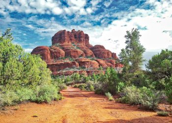 Exploring Earth’s Ecosystems: A Journey into Nature’s Balance