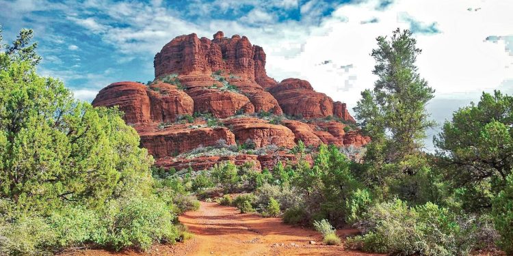 Exploring Earth’s Ecosystems: A Journey into Nature’s Balance