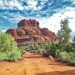 Exploring Earth’s Ecosystems: A Journey into Nature’s Balance
