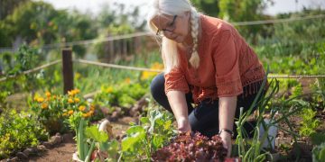 Starting Your Own Vegetable Garden: A Beginner’s Guide to Fresh Produce at Home