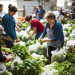 Aquaponics: Merging Fish Farming and Agriculture for Sustainable Food Production Aquaponics: Merging Fish Farming and Agriculture for Sustainable Food Production