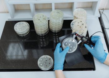 The Science Behind Antibiotic Resistance: A Global Threat