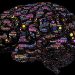 Neuroplasticity: How the Brain Adapts and Heals Neuroplasticity: How the Brain Adapts and Heals
